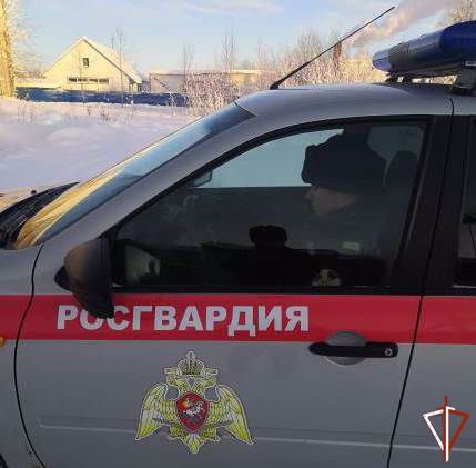 В Югре росгвардейцы пресекли ряд преступлений