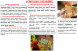 ПАМЯТКА по профилактике гриппа птиц!