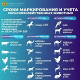 Памятка по маркировке птицы