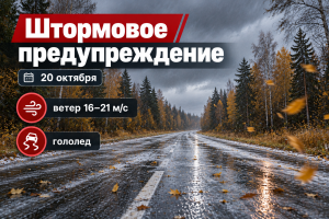 20 октября в Ханты-Мансийском районе ожидаются сильный ветер и гололед