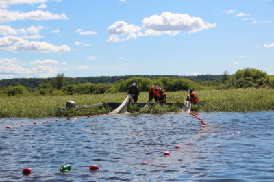 Аукцион на рыболовные участки
