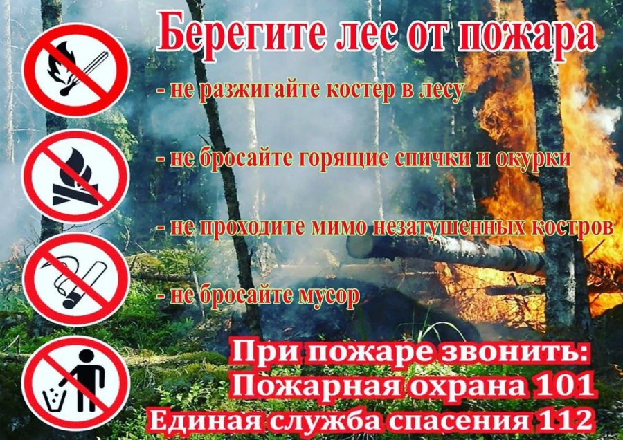 Безопасность в лесу