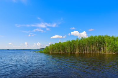 О паводковой ситуации на 1 июля