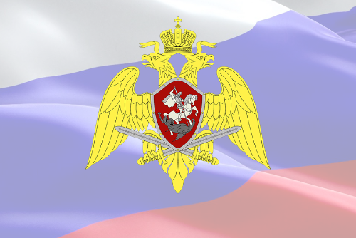 Росгвардия установила особенности осуществления в 2020 году разрешительной деятельности