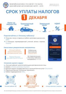 Меньше месяца остаётся до наступления срока уплаты имущественных налогов и налога на доходы физических лиц за 2024 год.