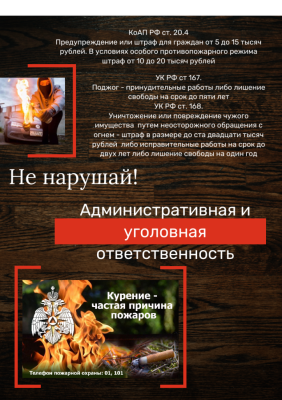 Об ответственности граждан за нарушение требований пожарной безопасности