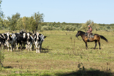 Уважаемые земляки, работники и ветераны агропромышленного комплекса! Поздравляю вас с Днем работника сельского хозяйства и перерабатывающей промышленности!