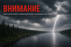 ⚠ Днем 16 июня местами по западным районам Ханты-Мансийского автономного округа – Югры ожидаются сильный дождь, гроза и ветер порывами 15–17 м/с