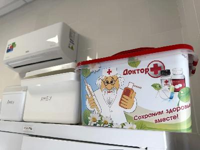«Цифровой ФАП» и общественный контроль в селе Реполово