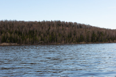 О паводковой ситуации на 28 мая