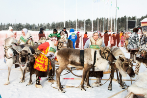 В Югре запущена цифровая платформа для коренных малочисленных народов Севера