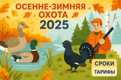 Сроки и тарифы осенне-зимней охоты