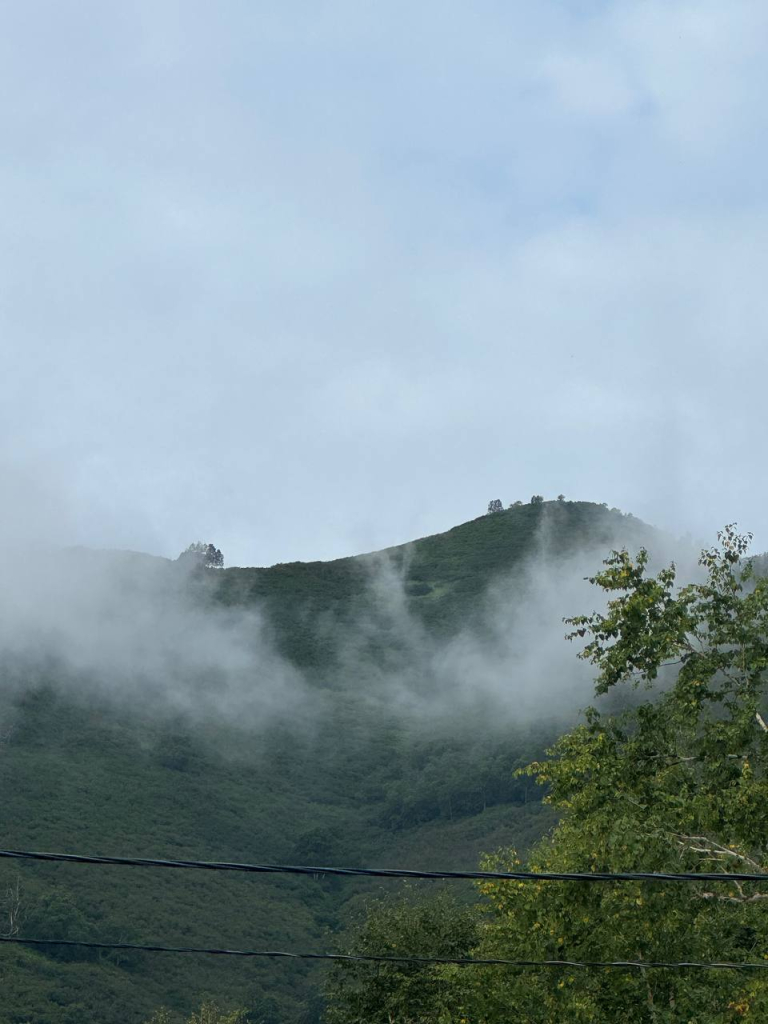 3 photo_5251515083744473586_y.jpg