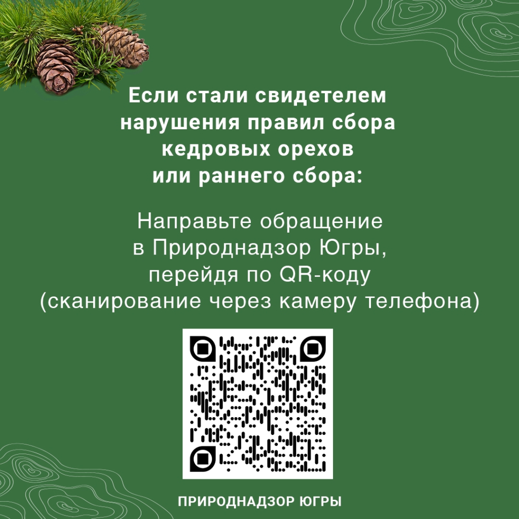 6 vbygk6x0jTVoM8YTN9V7wC5KfJg-a4kzSORlSNkrolxjeXqjnN6mfCGoSl3L-5ns160gKzXSiTHTSRXTHyyhAI3h.jpg