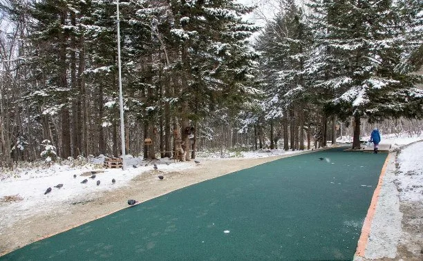 резиновой покрытие горноправдинск.png резиновой покрытие горноправдинск.png