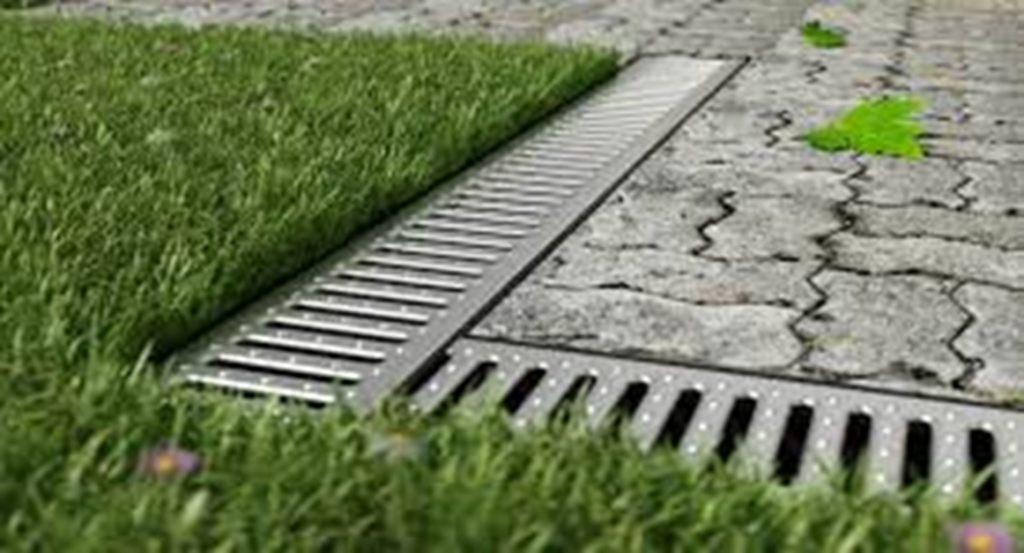 Шапша лотки.png Шапша лотки.png