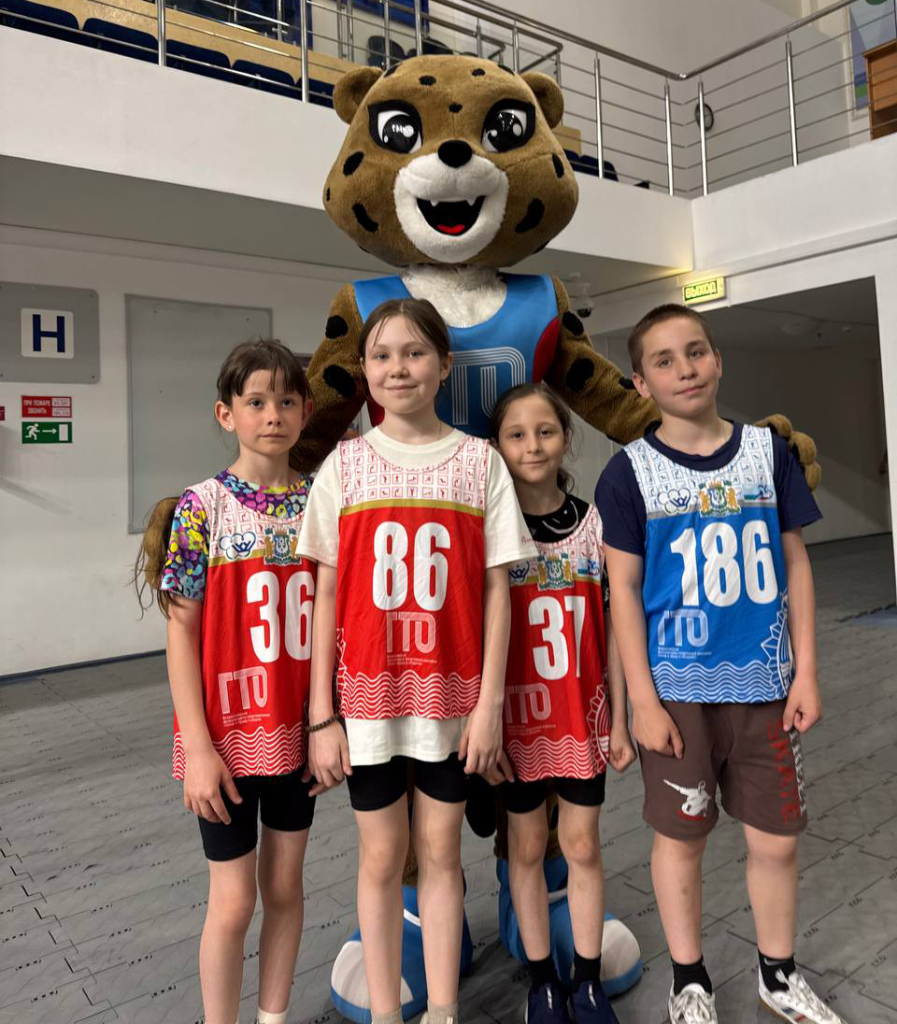 9 5321387617465531034.jpg