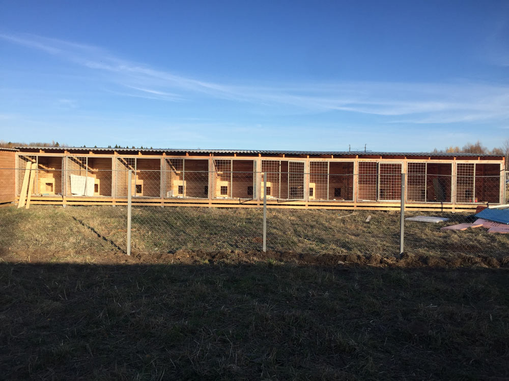 Реконструкция приюта для бездомных животных в п. Горноправдинск, Ханты-Мансийского района.jpg Реконструкция приюта для бездомных животных в п. Горноправдинск, Ханты-Мансийского района.jpg